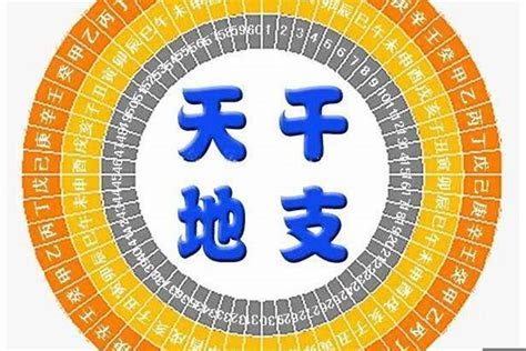 八字 地支